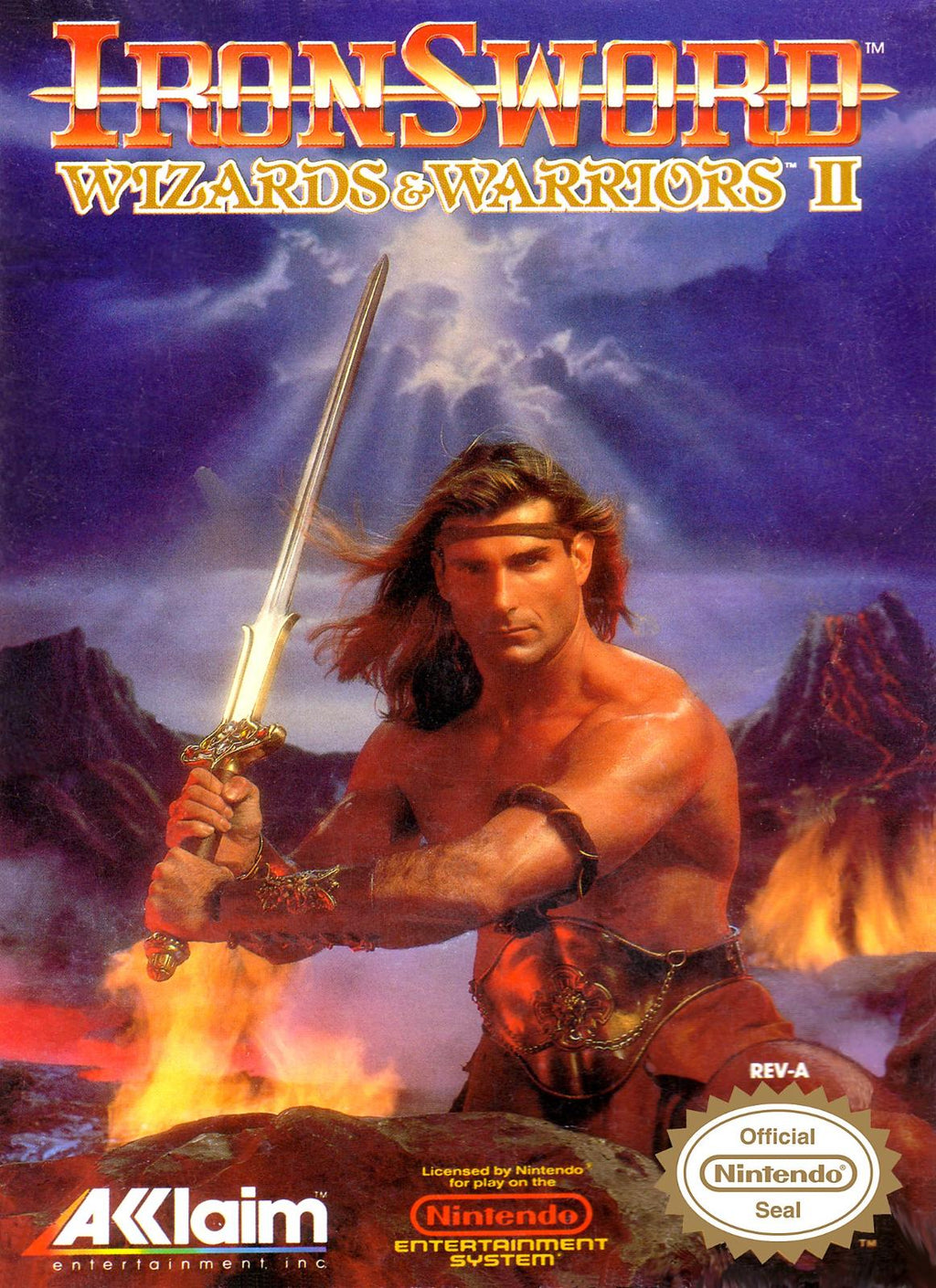 Double J's Collectibles - Iron Sword Wizards and Warriors II - Video Game - NES